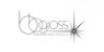 BB Gloss professional